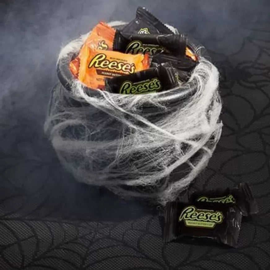 White Polyester Spider Web, 1ct