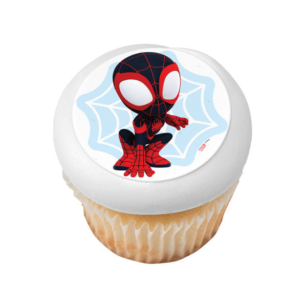 MARVEL Spidey and His Amazing Friends Spin Edible Cake Topper Image