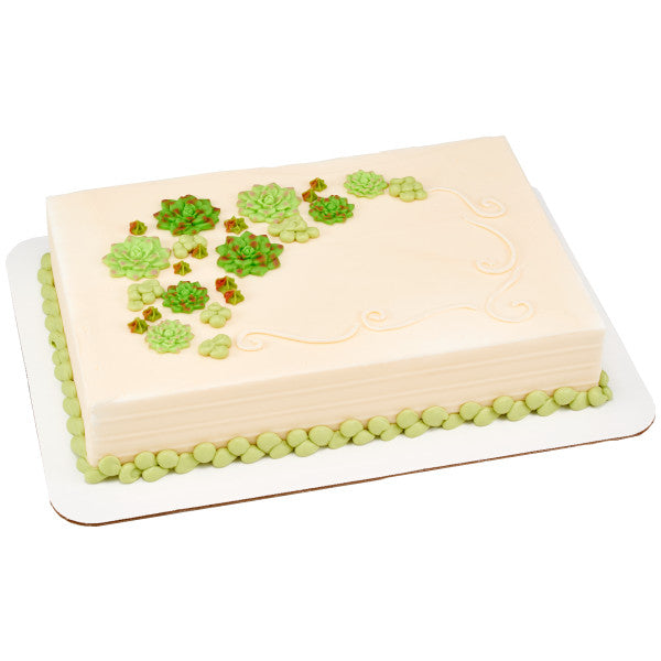 Succulents Sweet Decor Edible Decorations