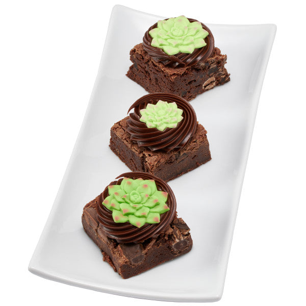Succulents Sweet Decor Edible Decorations