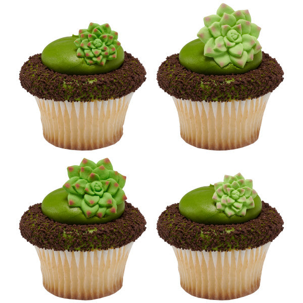 Succulents Sweet Decor Edible Decorations