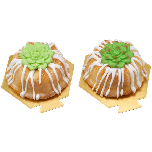 Succulents Sweet Decor Edible Decorations