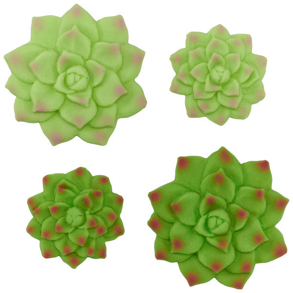 Succulents Sweet Decor Edible Decorations