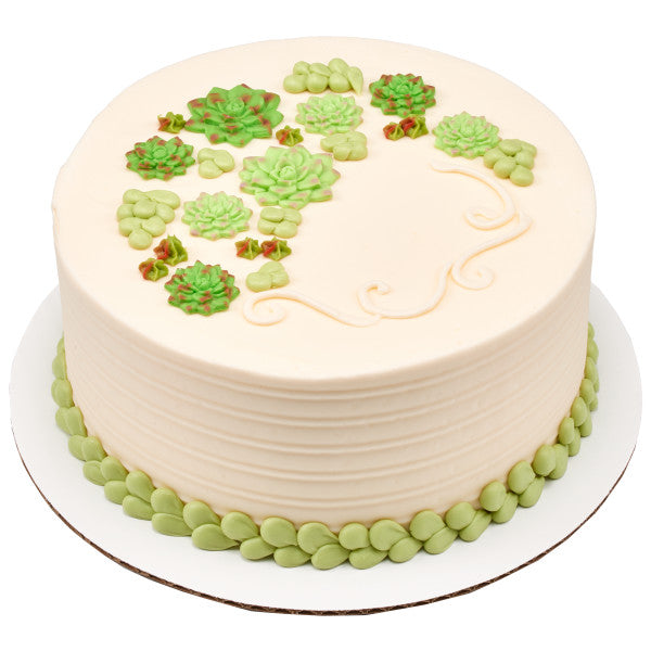 Succulents Sweet Decor Edible Decorations