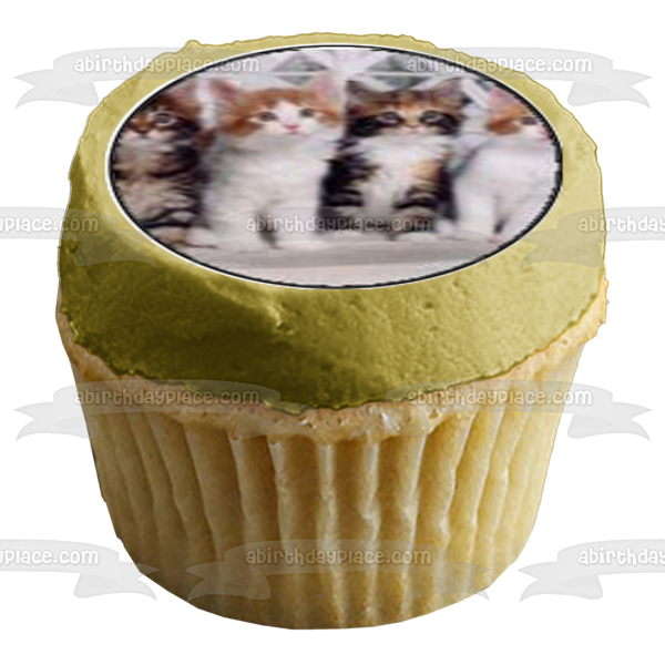 Gatitos Tigre Sombreros Blancos y Naranjas Imágenes comestibles para cupcakes ABPID03233