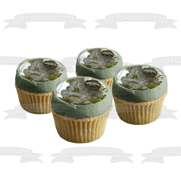 Sloth In a Tree Edible Cake Topper Image ABPID49798