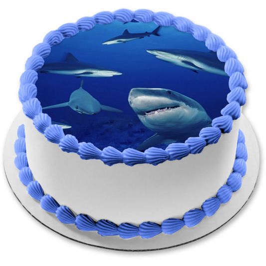 Ocean Life Sharks Swimming Water Edible Cake Topper Image ABPID27740