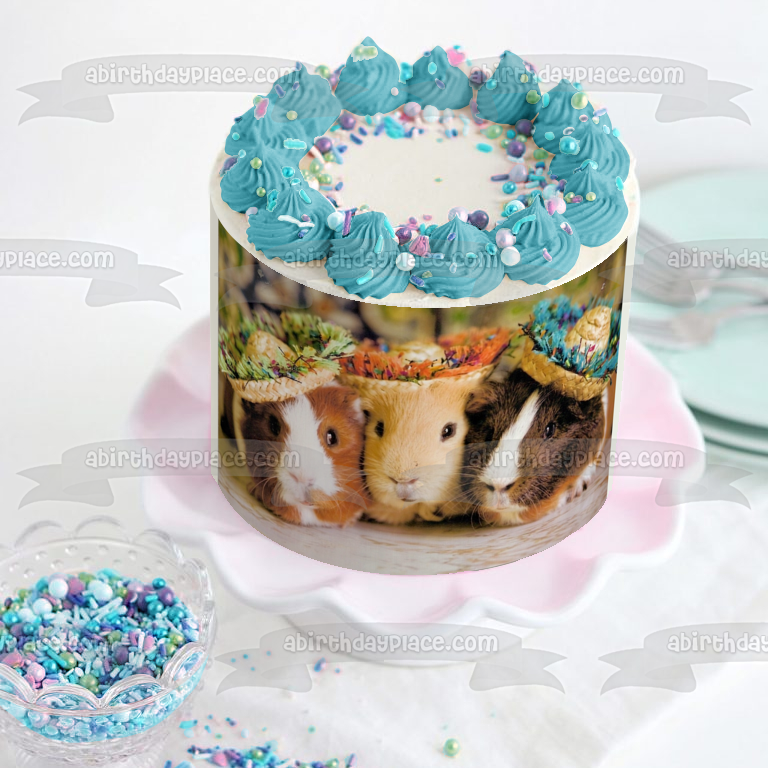 Cute Guinea Pigs Together Hats Sombrero Edible Cake Topper Image ABPID00836