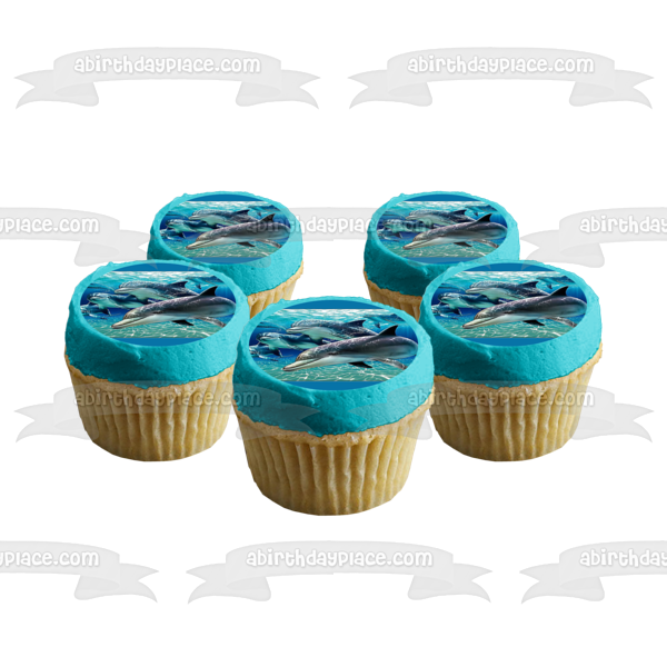 Dolphin Pod Ocean Day Edible Cake Topper Image ABPID00543