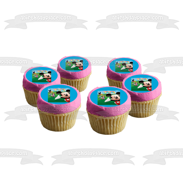 Mickey Mouse Clubhouse Minnie Goofy Abd Donald Edible Cake Topper Image ABPID04223