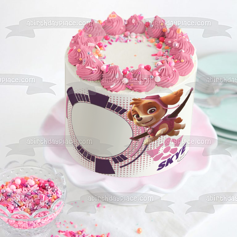 Paw Patrol Skye Pup Flying Edible Cake Topper Image Frame ABPID04466