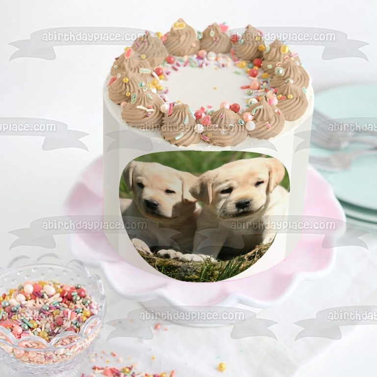 Puppies Labrador Retrievers Edible Cake Topper Image ABPID11859