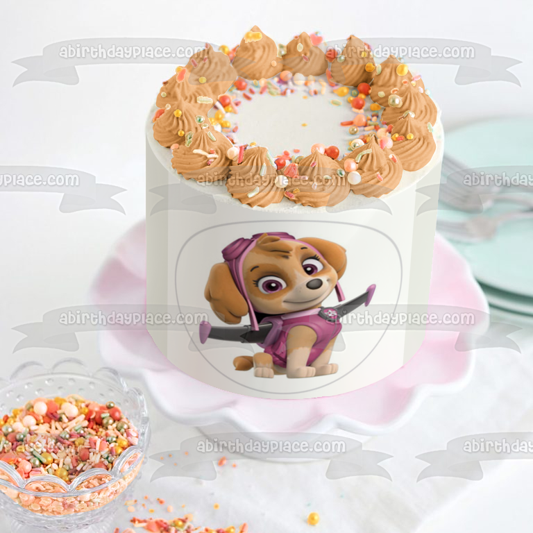 Paw Patrol Skye Pup Pack Wings Edible Cake Topper Image ABPID27513