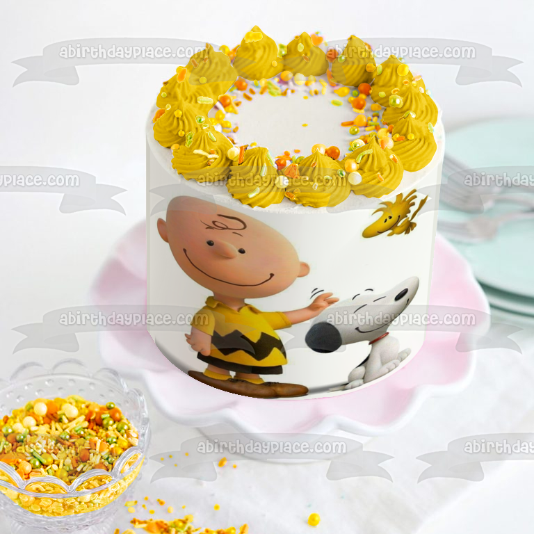 Peanuts Charlie Brown Snoopy Woodstock Edible Cake Topper Image ABPID27517