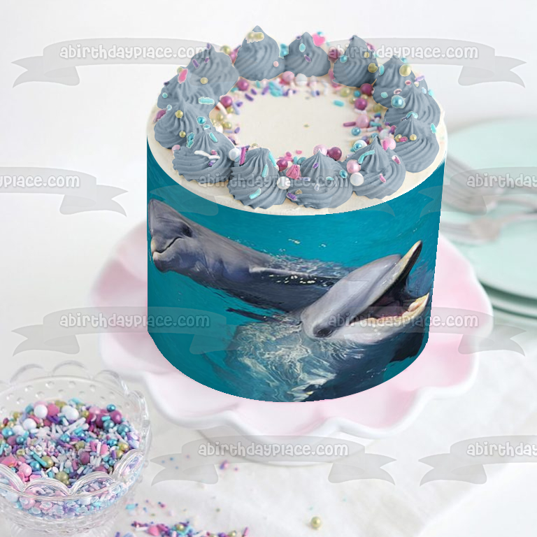 Ocean Life Dolphins Swimming and Playing Water Background Edible Cake Topper Image ABPID27539