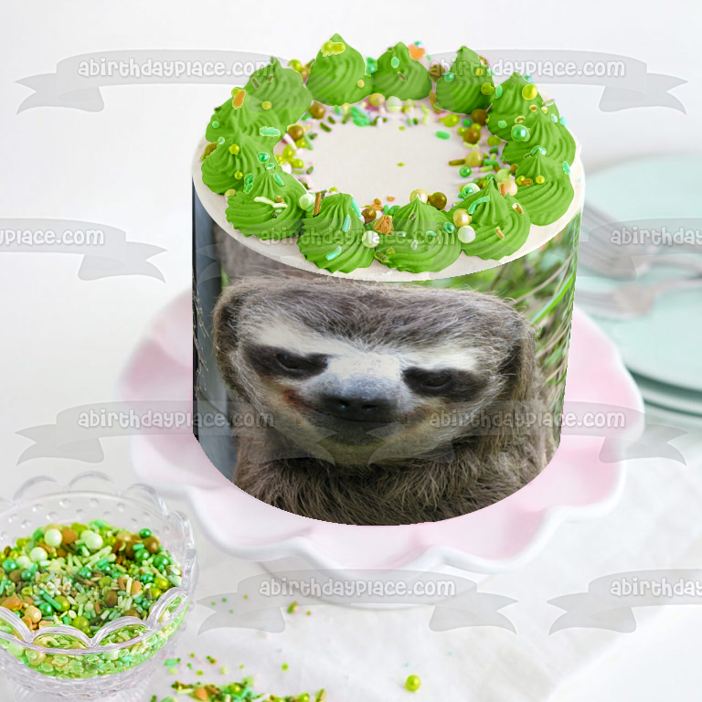 Sloth Smiling Edible Cake Topper Image ABPID49743