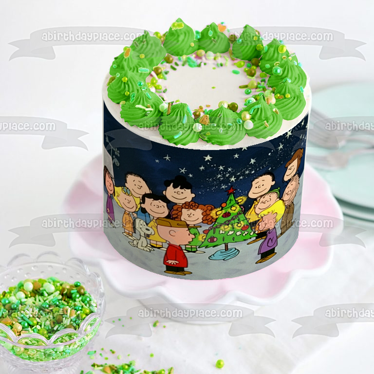 Charlie Brown Christmas Special Snoopy Peanuts Edible Cake Topper Image ABPID50648