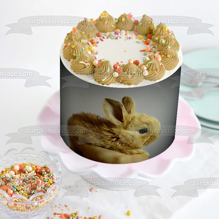 Baby Bunny In Hand Edible Cake Topper Image ABPID50474