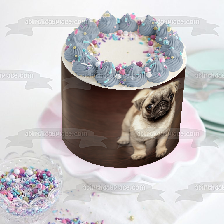 Pug Puppy Edible Cake Topper Image ABPID50480