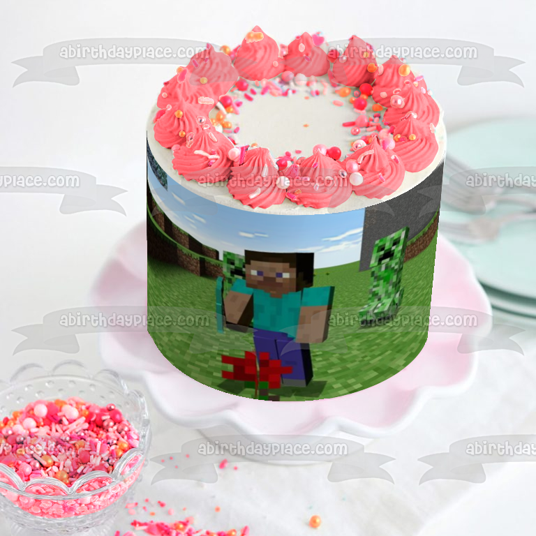Minecraft Steve Skin Creeper bloquea la imagen comestible para decoración de tarta ABPID51094
