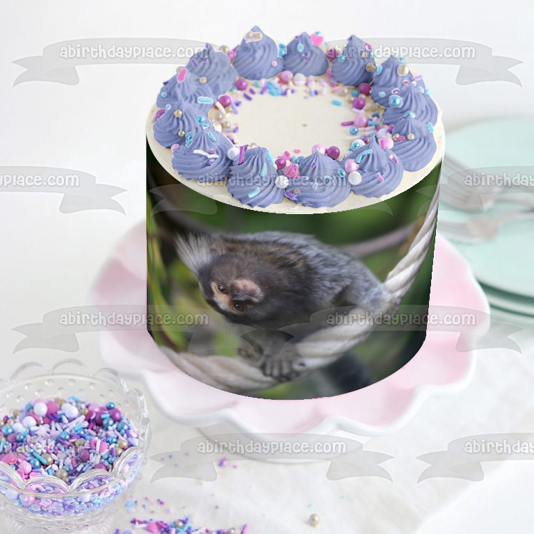 Monkey Animal Nature Marmoset Wildlife Edible Cake Topper Image ABPID52985