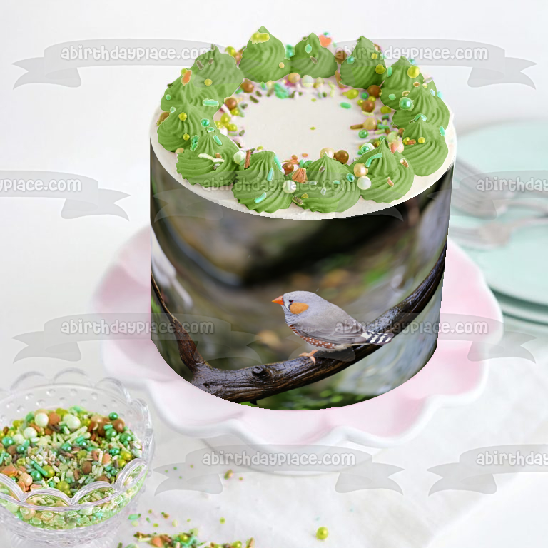 Zebra Finch Bird Nature Wildlife Outdoors Australia Edible Cake Topper Image ABPID52986