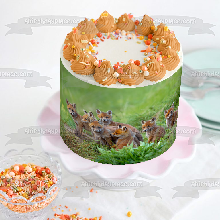 Red Fox Vulpes Cachorros sentados junto a la guarida Naturaleza Animales Decoración comestible para tarta Imagen ABPID53627