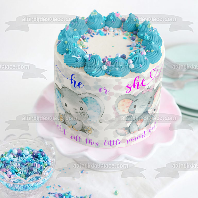 He or She What Will This Little Peanut Be? Gender Reveal Baby Shower Edible Cake Topper Image ABPID54019