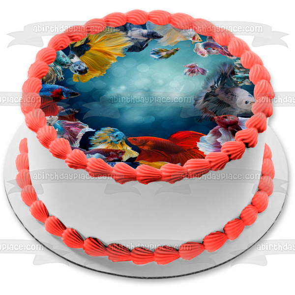 Imagen de adorno comestible para pastel de varias razas de peces beta ABPID56525