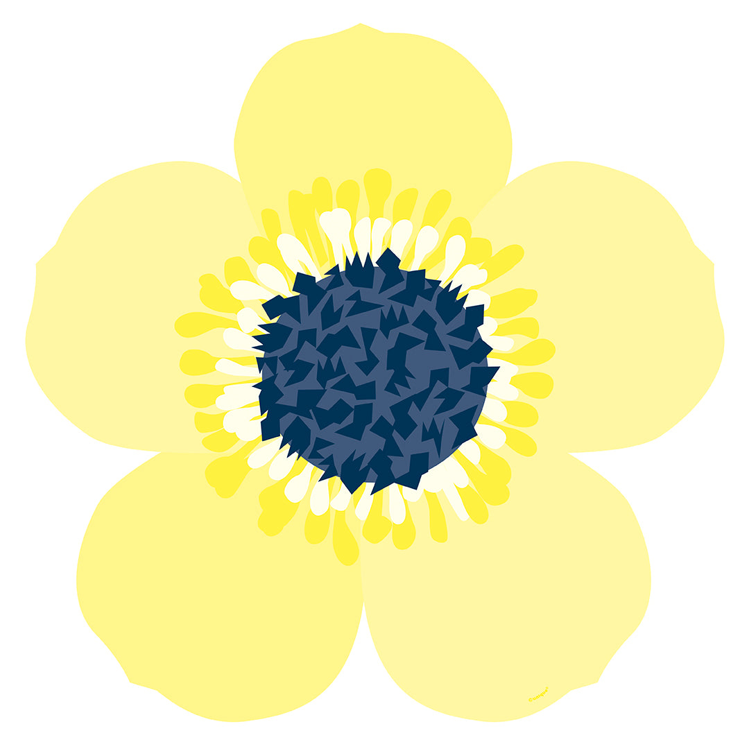 Flower Shaped Paper Placemats, 8ct