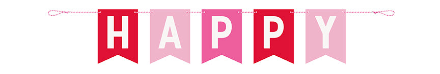 Red & Pink Happy Valentine's Day Pennant Banner, 10 ft
