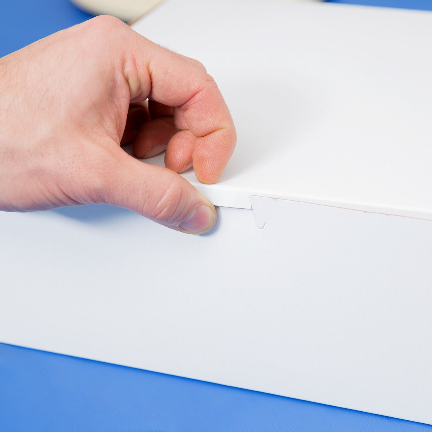 Caja para pastel/panadería blanca de 10" x 10" x 4"