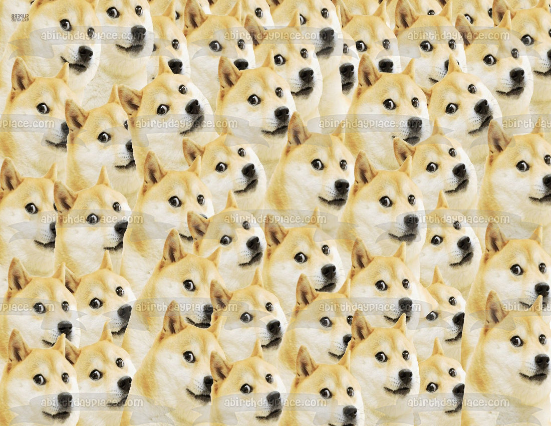Shiba Inu Dog Doge Meme Face Pattern Edible Cake Topper Image ABPID00553