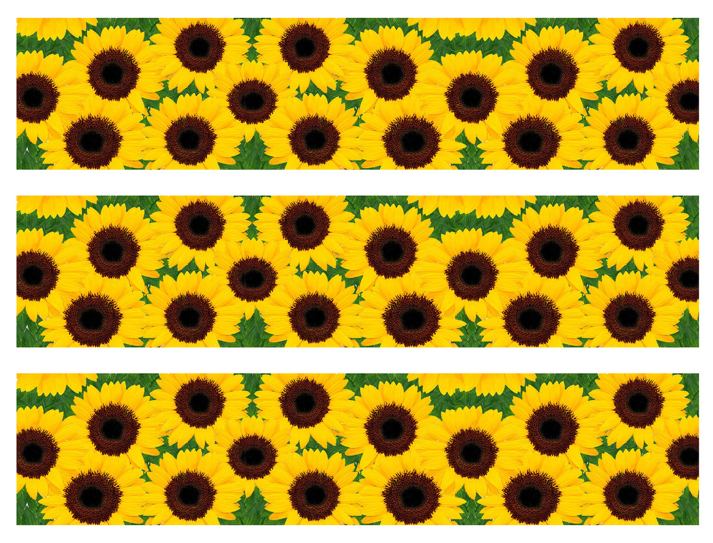 Tiras de imágenes comestibles para decoración de tartas con girasoles amarillos ABPID56381