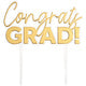 Graduation Cake Toppers