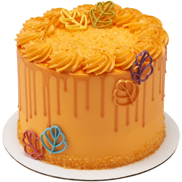 Cinta grande brillante de 5 colores DecoPics