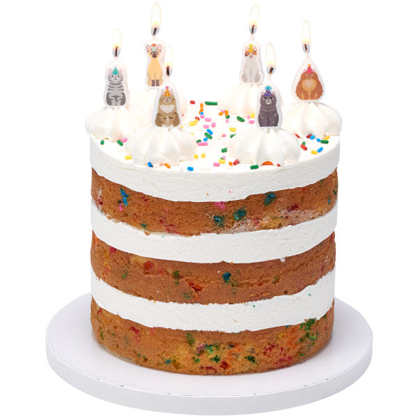 Party Cats Shaped Candles A Birthday Place