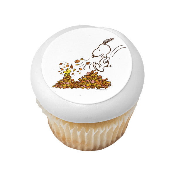 Peanuts® Happy Fall Edible Cake Topper Image