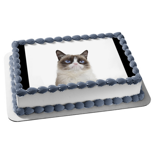 Grumpy Cat Edible Cake Topper Image ABPID49894