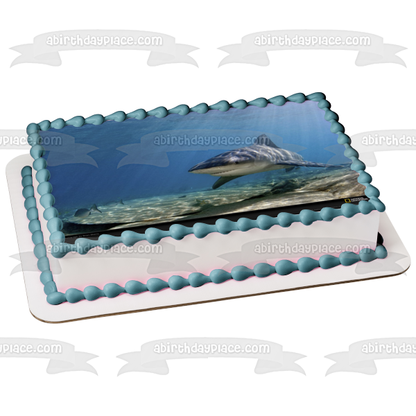 Imagen comestible para tarta con diseño de tiburón toro, pez oceánico, luz solar, ABPID00542 
