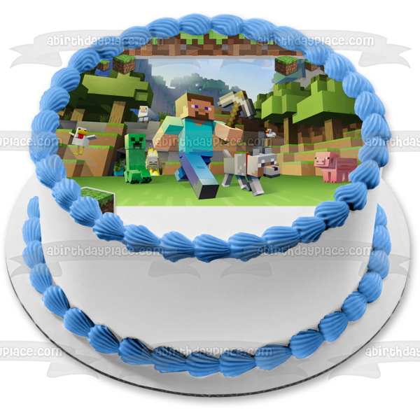 Minecraft Steve Personalized Edible Cake Topper Image ABPID50721