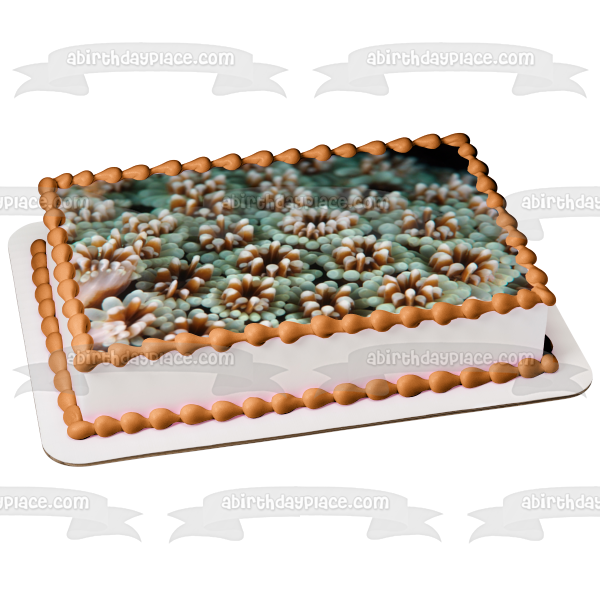 Ocean Life Coral Landscape Edible Cake Topper Image ABPID52520