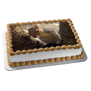 Squirrel In a Tree Edible Cake Topper Image ABPID52548