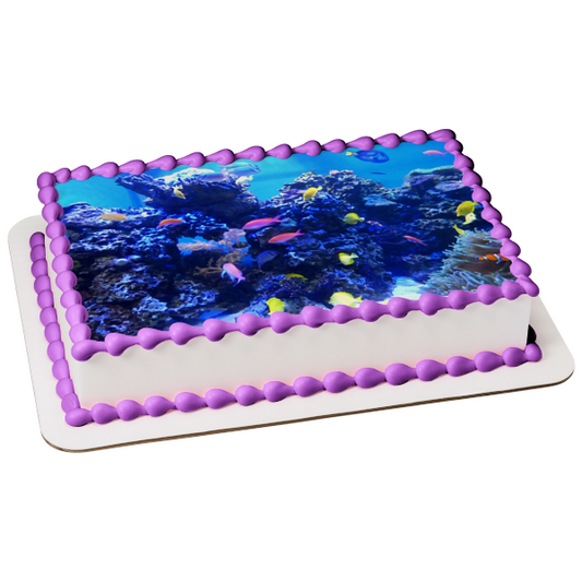 Ocean Life Scenery Fish Coral Edible Cake Topper Image ABPID52558