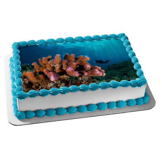 Deep Sea Diving Ocean Coral Edible Cake Topper Image ABPID52569
