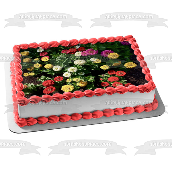 Zinea's Assorted Colors Edible Cake Topper Image ABPID52587
