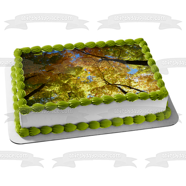 Fall Trees Colorful Leaves Edible Cake Topper Image ABPID52605