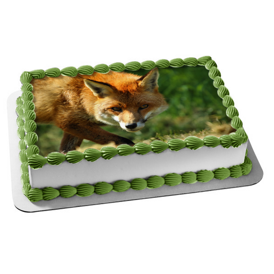 Fox Wildlife Nature Animal Forest Edible Cake Topper Image ABPID52829