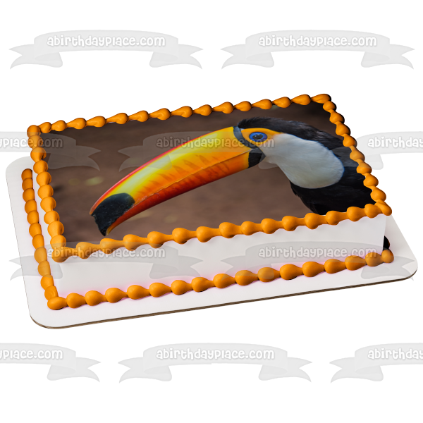 Nature Animal Bird Toucan Jungle Wildlife Edible Cake Topper Image ABPID52830