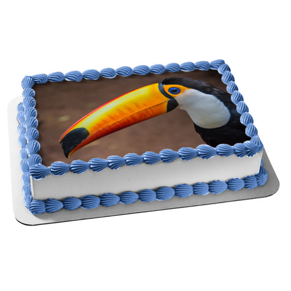 Nature Animal Bird Toucan Jungle Wildlife Edible Cake Topper Image ABPID52830